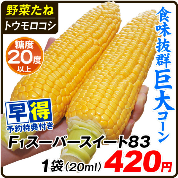 【30％OFF】 速くおよび自由な 種 早得野菜たね トウモロコシ Ｆ１スーパースイート８３ 1袋 20ml 送料グループ nanaokazaki.com nanaokazaki.com