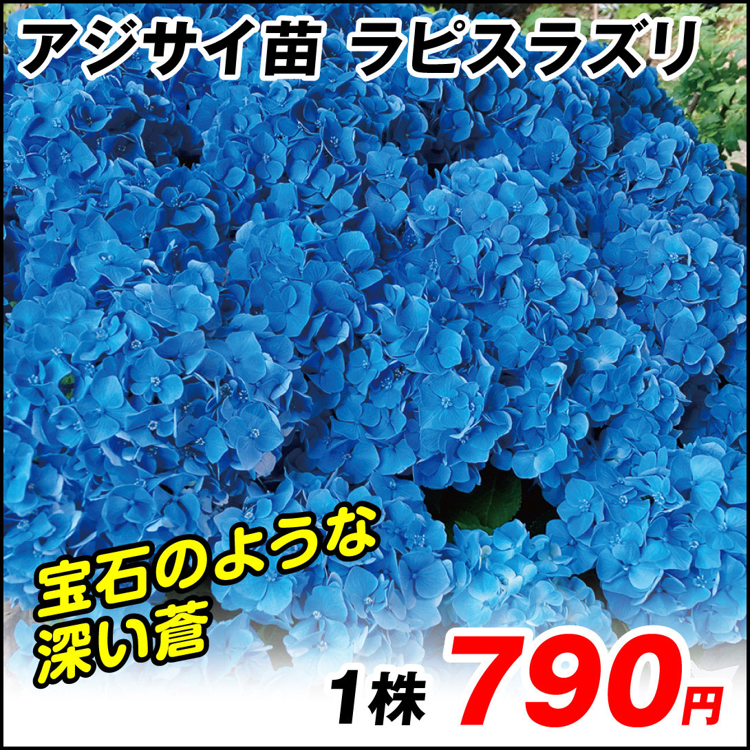 ラピスラズリ