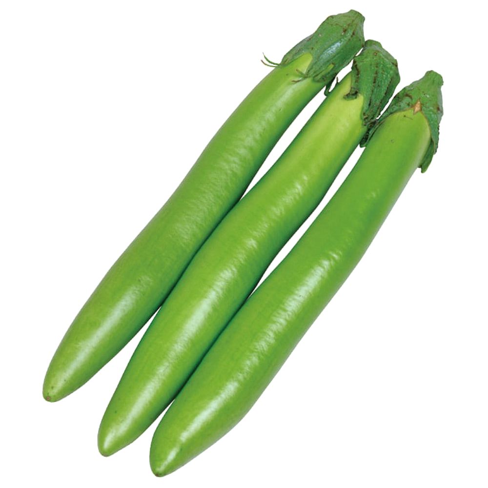 実生野菜苗 細長ナス F1太刀みどり 12株 : 花と緑 国華園 - 通販