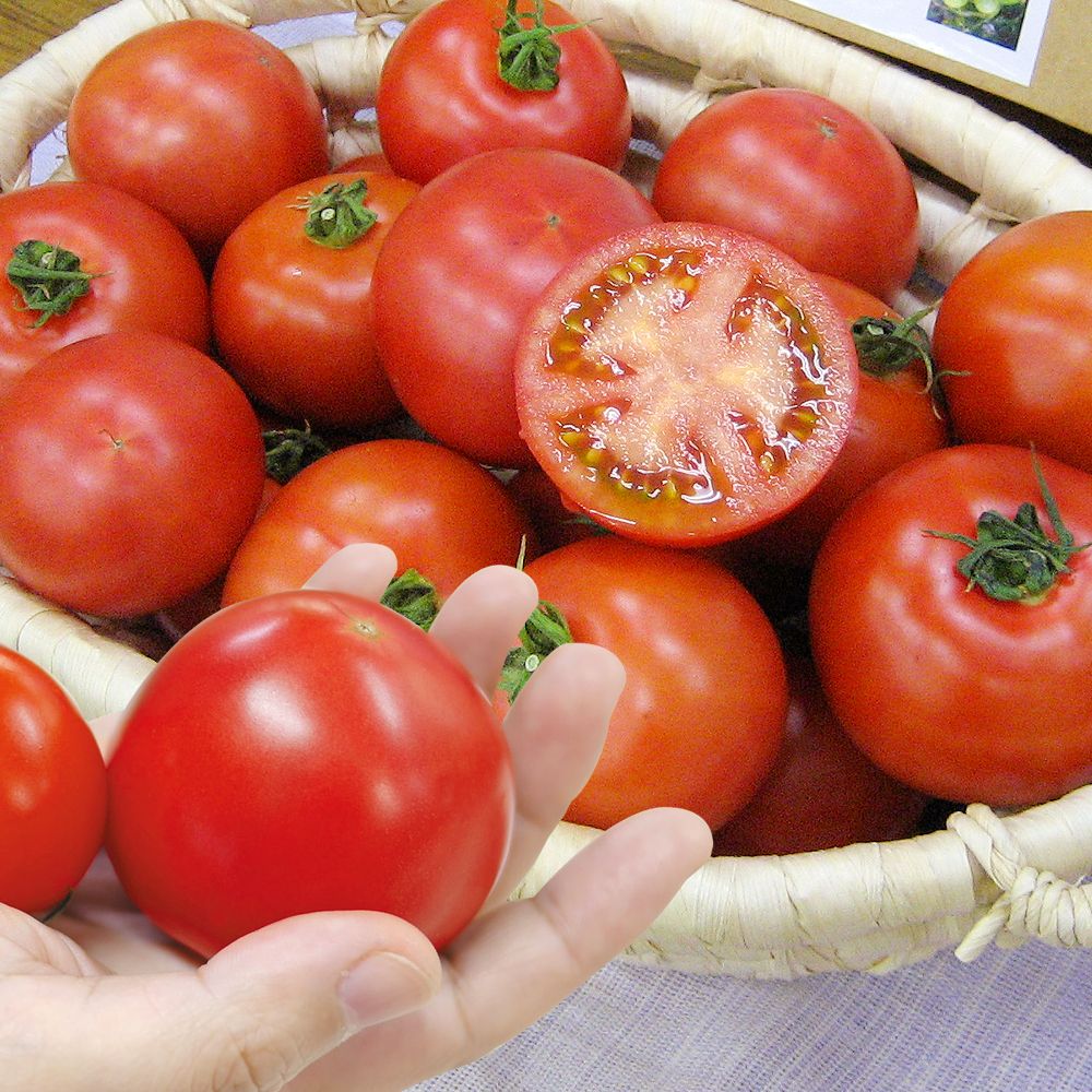 種 野菜たね 中玉トマト F1セレブスイートR...の詳細画像1