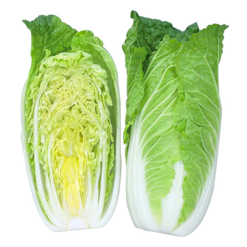 �� ��؂��� �n�N�T�C F1�^�C�j�[�V���V���iR�j 1�܁i1ml�j ���� �₳���̎� ���؉�