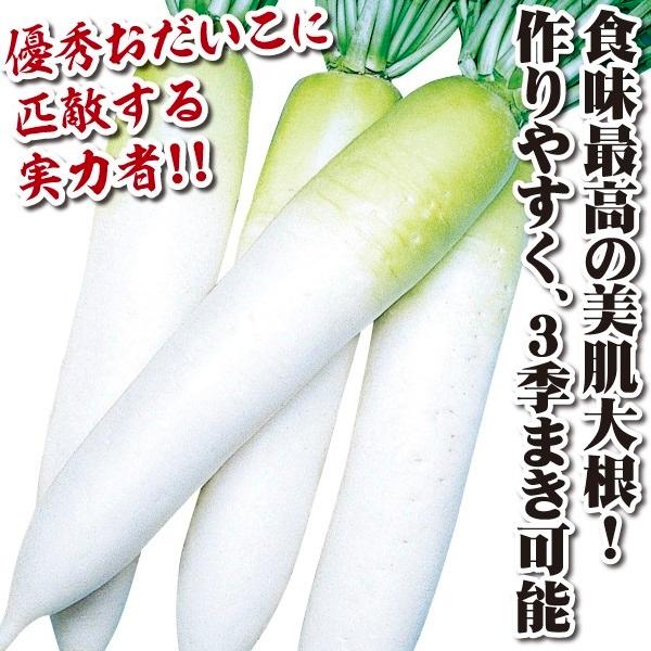 ダイコン 種 たね F1宮錦 1袋(4ml) 大根 野菜たね YTC08