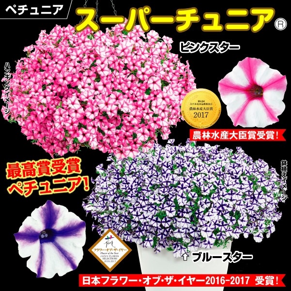 Yahoo!オークション -「桜花賞 ゼッケン」の落札相場・落札価格