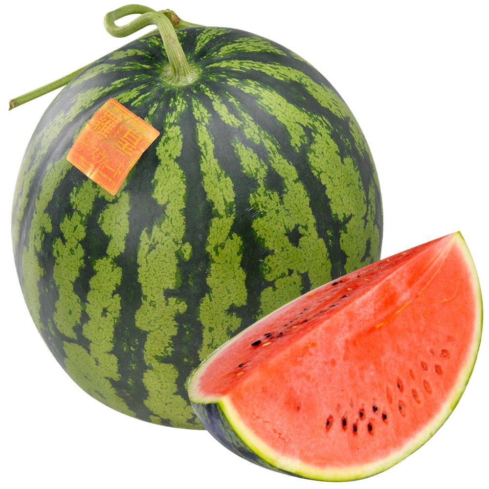 接木野菜苗 大玉スイカ 接木F1羅皇ザ・スウィート 16株 西瓜 らおう