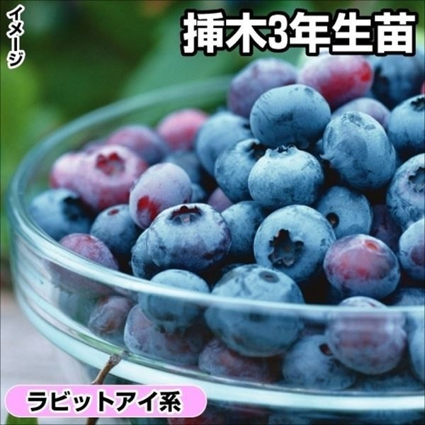 u[x[ rbgACn LEFC }3N 1 ʎc ؉