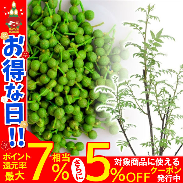 有用植物苗 朝倉山椒(サンショウ) ポット苗 2株 送料無料 / 山椒の苗 サンショウの苗 家庭菜園 家庭栽培 自給自足 植物 自家栽培 自家菜園  国華園 : 2022-pori-0869 : 花と緑 国華園 - 通販 - Yahoo!ショッピング