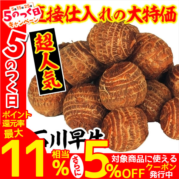 種いも 里いも 石川早生 10kg /24年春先行販売