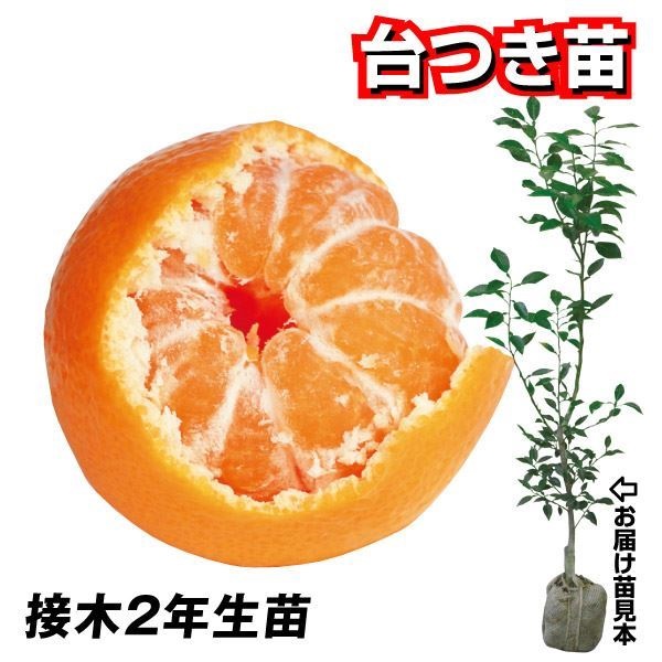 ʎc JLc B݂ 1 c 1