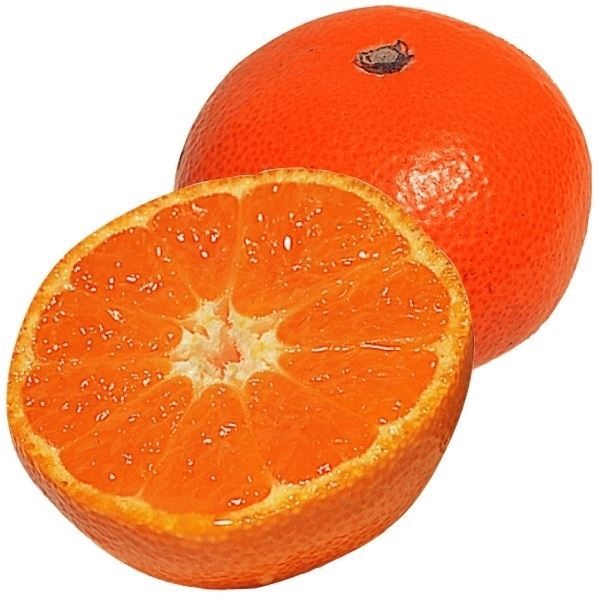 ݂ c c Rg 1 / ݂c ~Jc ݂̖ ݂ B݂ k JLc ʎc ؉