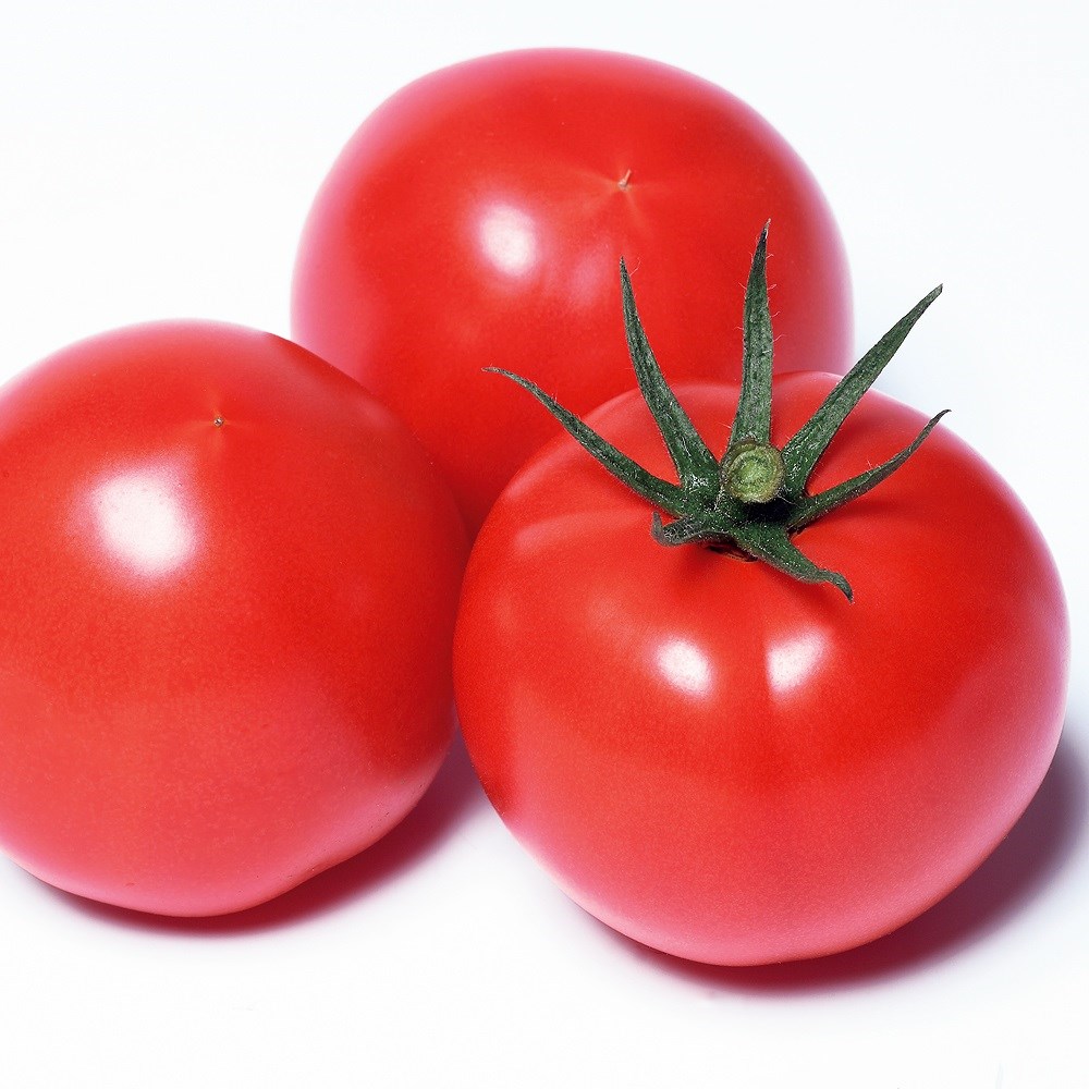 トマト 大玉トマト 種 野菜たね F1麗月 1袋（15粒） やさいたね 国華園 こっかえん｜kokkaen