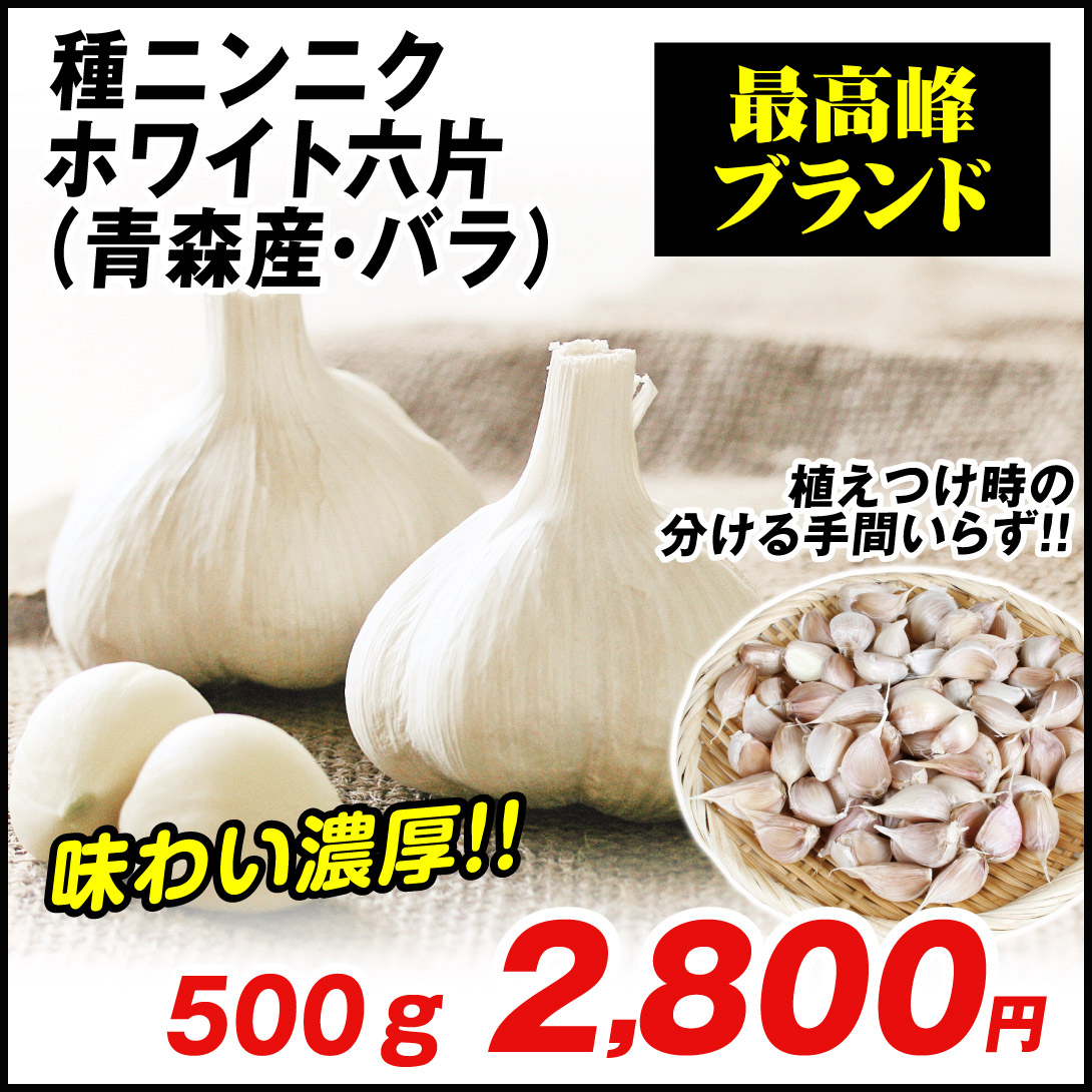 花と緑 国華園 - ニンニク種球(植物・苗・球根)|Yahoo!ショッピング