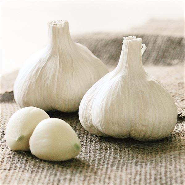 ニンニク種球 ホワイト六片 (バラ・青森産) 5kg / にんにく