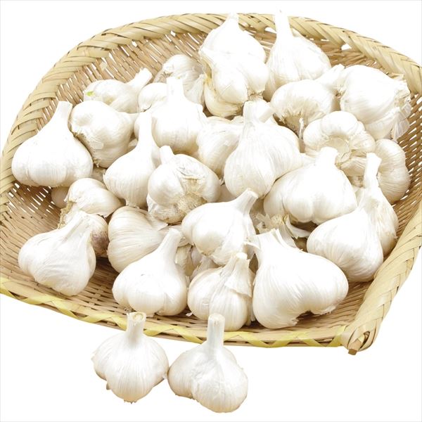 jjN틅 zCgZ(oEXY) 500g