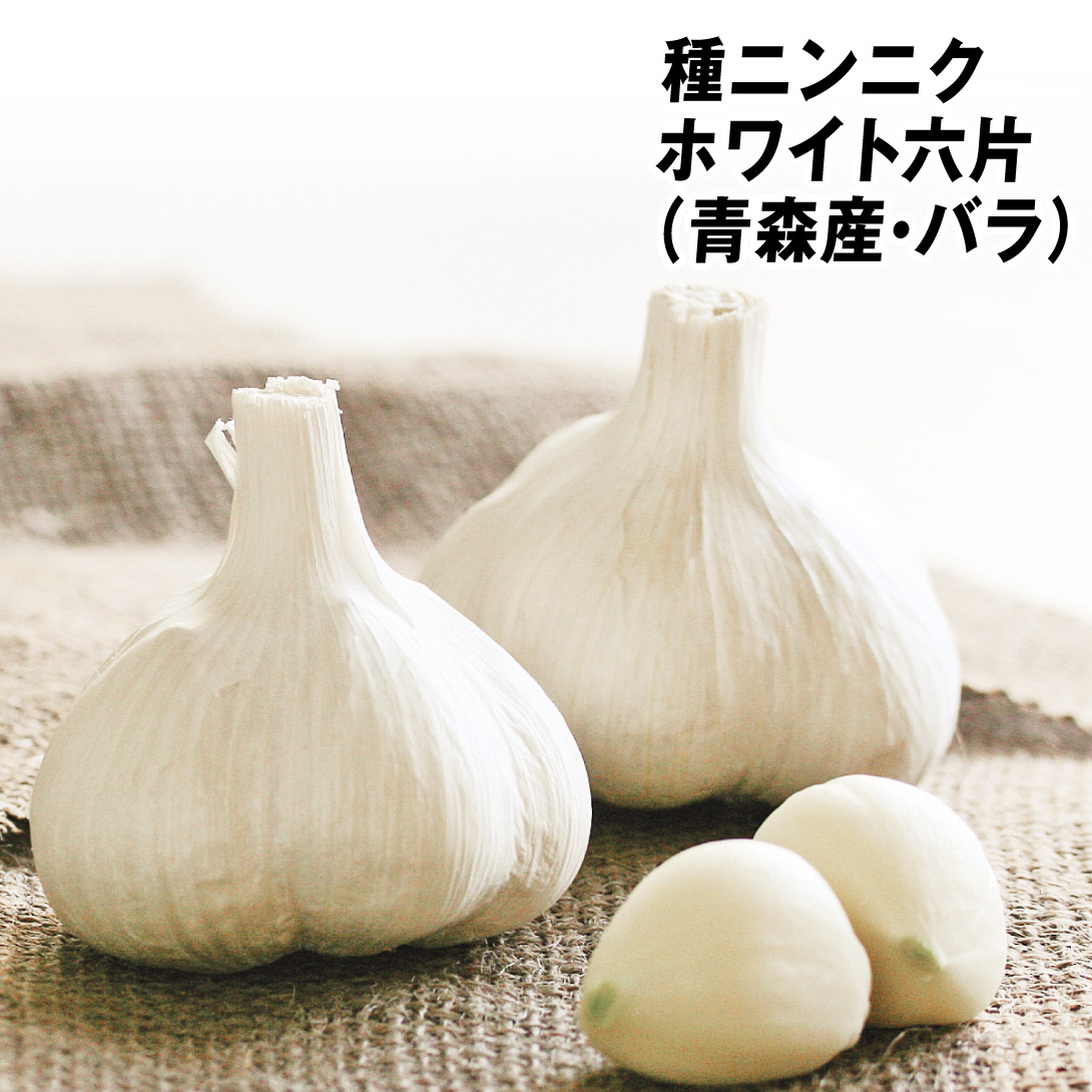 ニンニク種球 ホワイト六片(バラ・青森産) 1kg