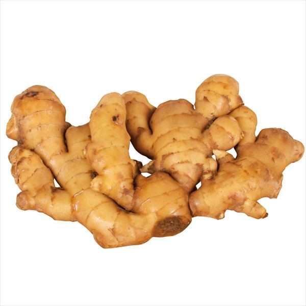 種ショウガ タイ産大ショウガ (近江生姜) 5kg / 生姜 しょうが 家庭