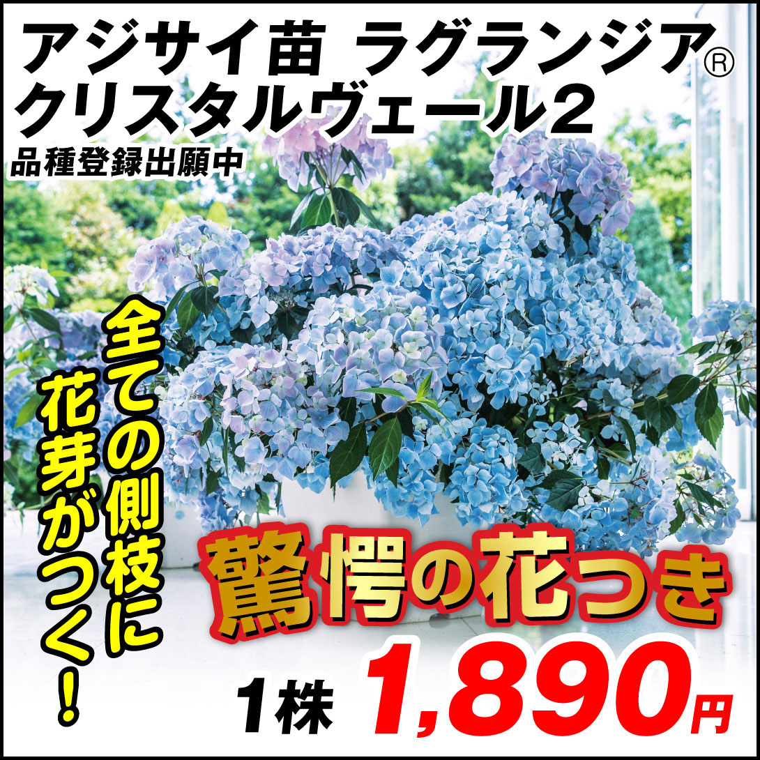 クリスタルヴェール2