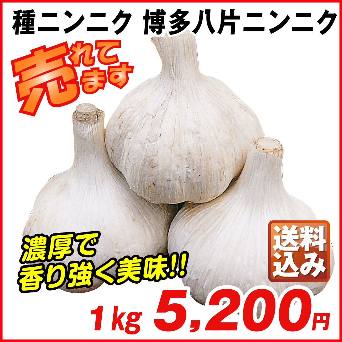 ニンニク 種球 博多八片ニンニク 種球 1kg [送料込み企画] / にんにくの種 ガーリック 家庭菜園 暖地向きニンニク 福岡 人気 早生  博多にんにく 国華園