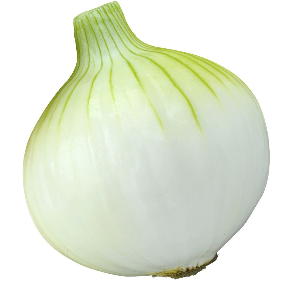種 野菜たね タマネギ （極早生）F1極早生甘あま玉葱 1袋（3ml