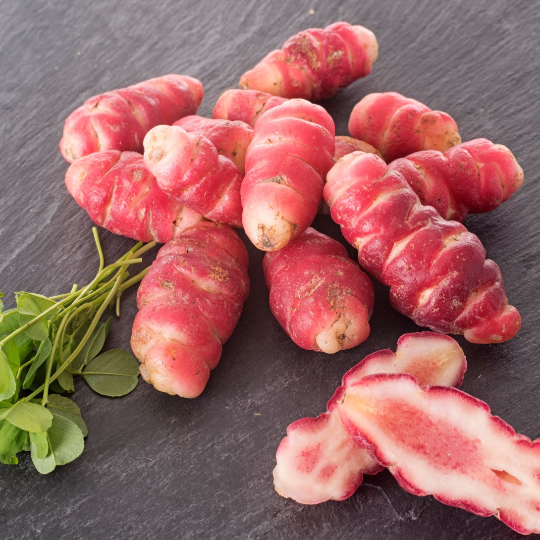 �킢�� �I�J 2�� / ���� ���� �C�� �� ���˂��� �^�l�C�� ��� ��C�� ������ ����