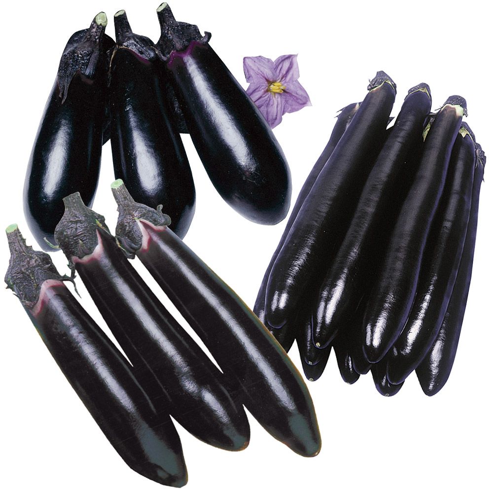 �ږؖ�ؕc �i�X �ږ؂������i�X�Z�b�g 3��6��  �֎q set �₳���Ȃ� �Ȃ� ���؉�