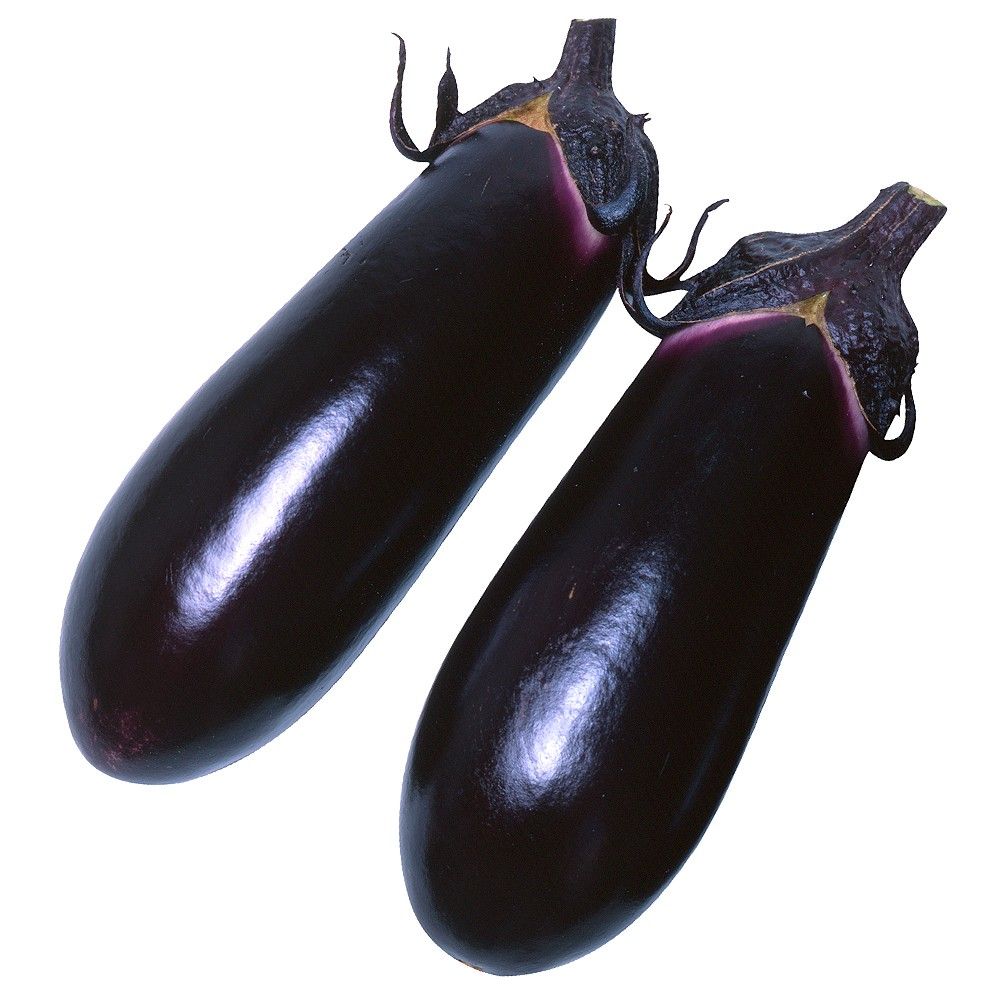 �ږؖ�ؕc �����i�X �ږ�F1���� 1��  �֎q �₳���Ȃ� �Ȃ� ���؉�