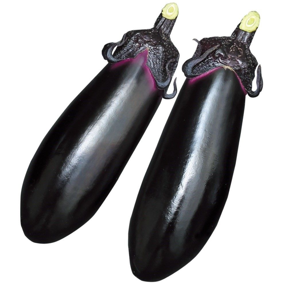 �ږؖ�ؕc �����i�X �ږ�F1���݂̂̂�2�� PVP 1��  �֎q �₳���Ȃ� �Ȃ� ���؉�