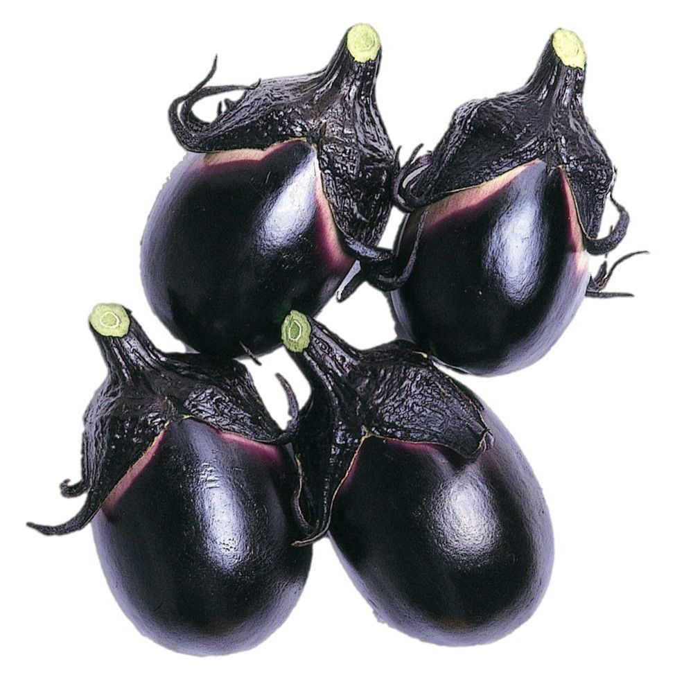 �ږؖ�ؕc ���i�X �ږ�F1�R�`�n���V�� 2��  �֎q �₳���Ȃ� �Ȃ� ���؉�