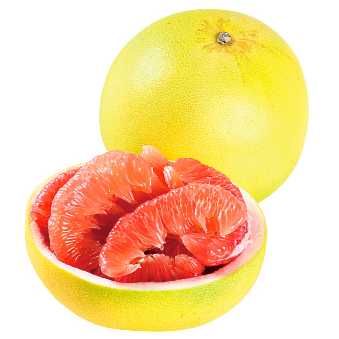 ポメロのおすすめ人気商品一覧 通販 - Yahoo!ショッピング