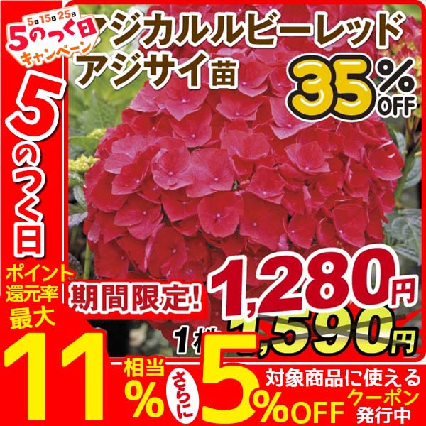 クロード・モネ、「PAVOTS ROUGE ET ROSE」、海外版超希少レゾネ クロード・モネ、「PAVOTS ROUGE ET ROSE」、海外版超希少レゾネ