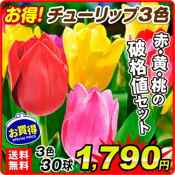 3色セット