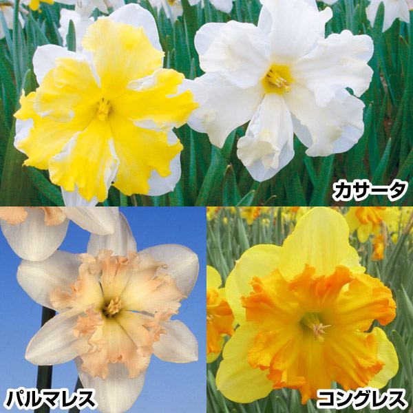   lCo^tC琅Zbg 330(e10) XCZ̋ HA
