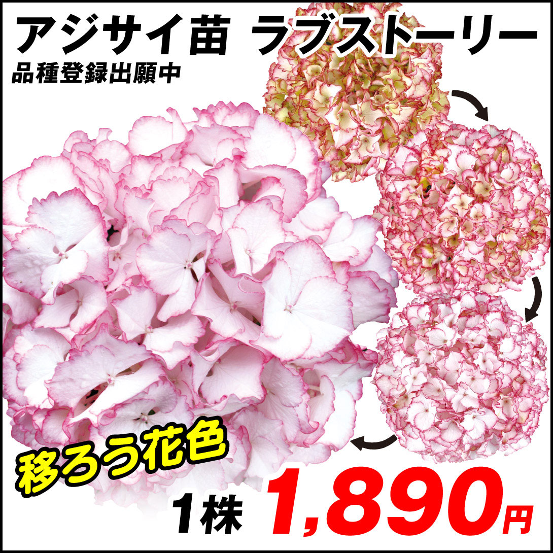 ラブストーリー