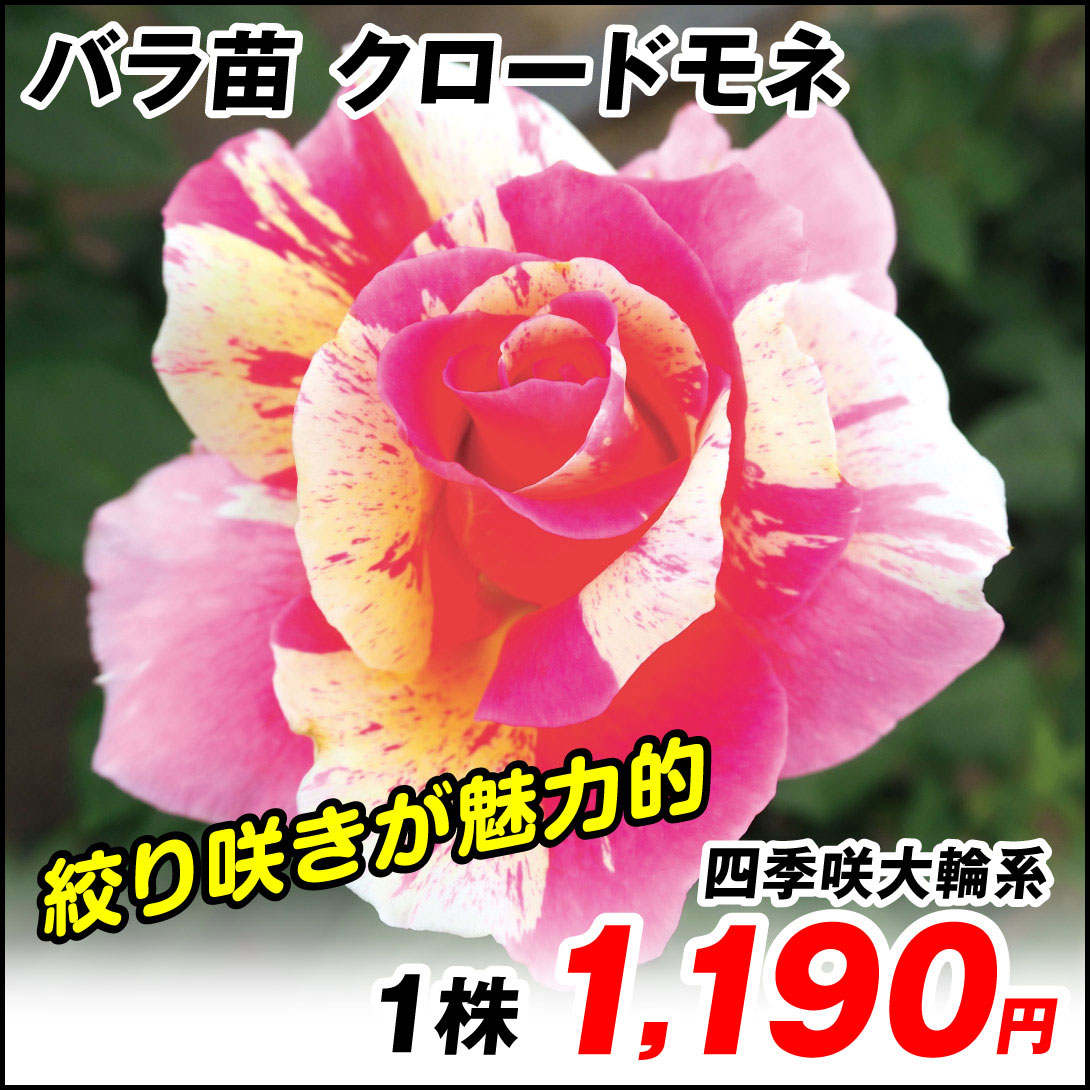 クロードモネ