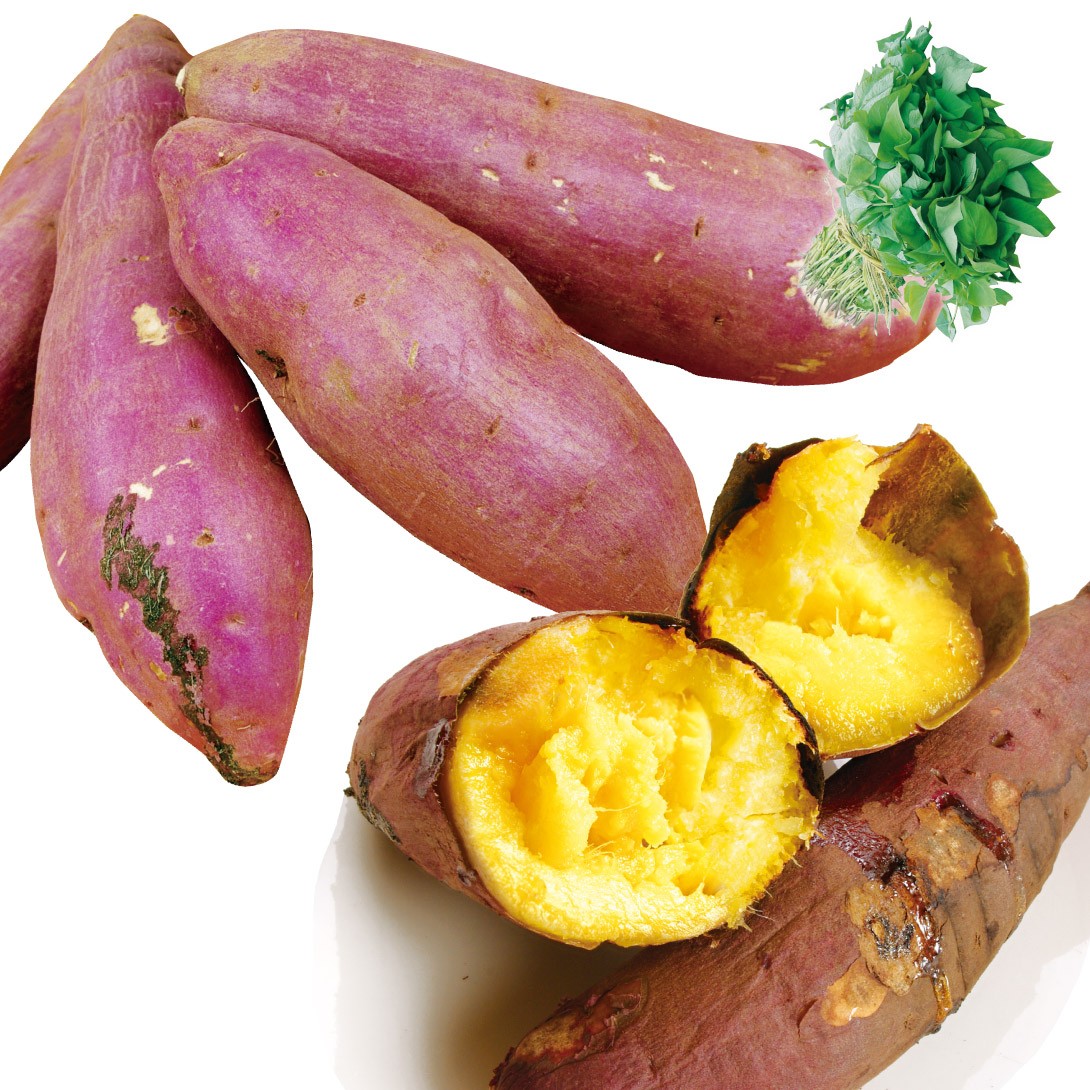 イモヅル 芋づる 特別便 べにはるかPVPイモヅル300本 送料込み 