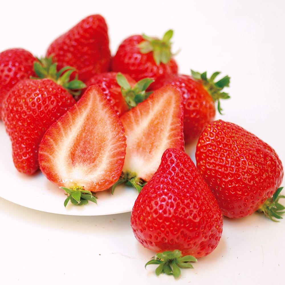 とちおとめページです いちご苗 とちおとめ6株 : 花と緑 国華園 - 通販 - Yahoo!ショッピング