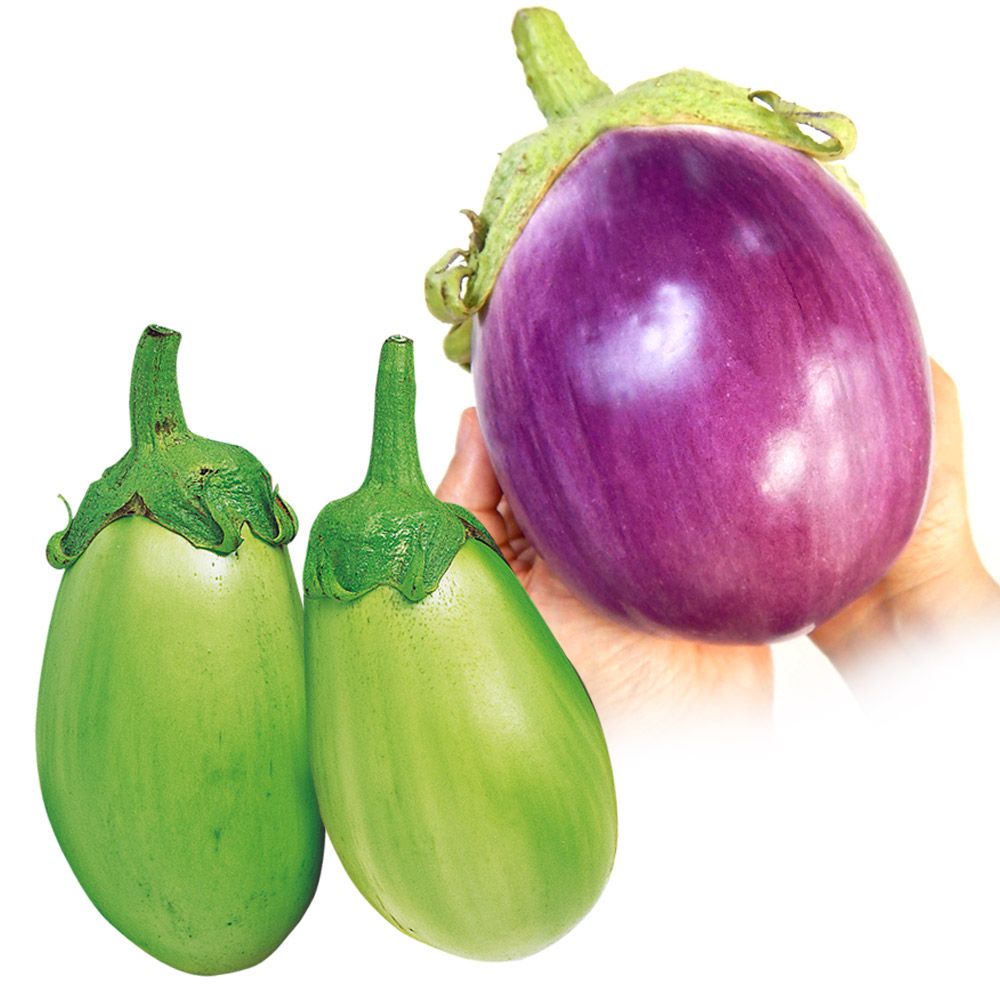 �ږؖ�ؕc �i�X �ږ؂������ς��i�X�Z�b�g 2��4��  �֎q set �₳���Ȃ� �Ȃ� ���؉�