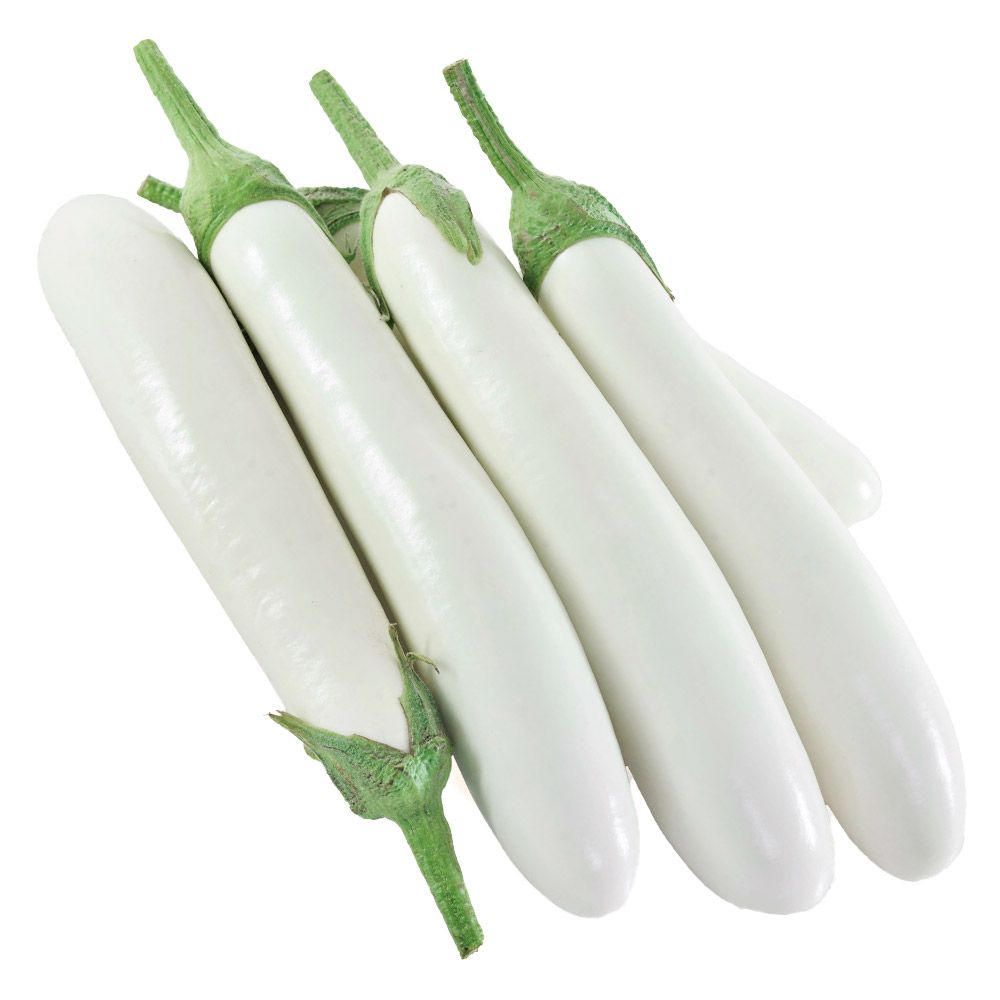 �ږؖ�ؕc �i�X F1����䂫�X�����_�[ 8��  �֎q �₳���Ȃ� �Ȃ� ���؉�