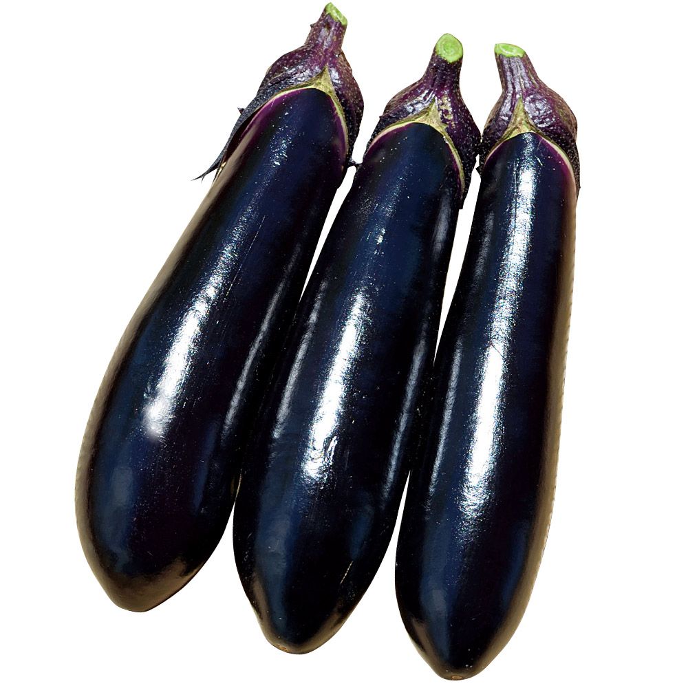 �ږؖ�ؕc �����i�X F1����� 28��  �֎q �₳���Ȃ� �Ȃ� ���؉�