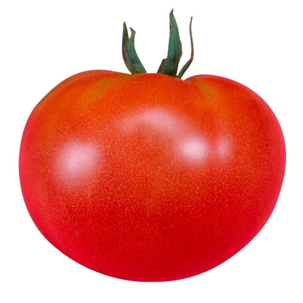 ������ؕc ��ʃg�}�g F1�T�^�[�� 56��  �����c �₳���Ȃ� �Ȃ� ���؉�