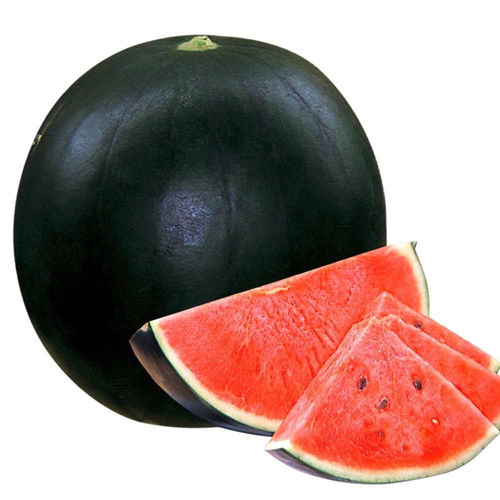 MNWDJ6EQMX9