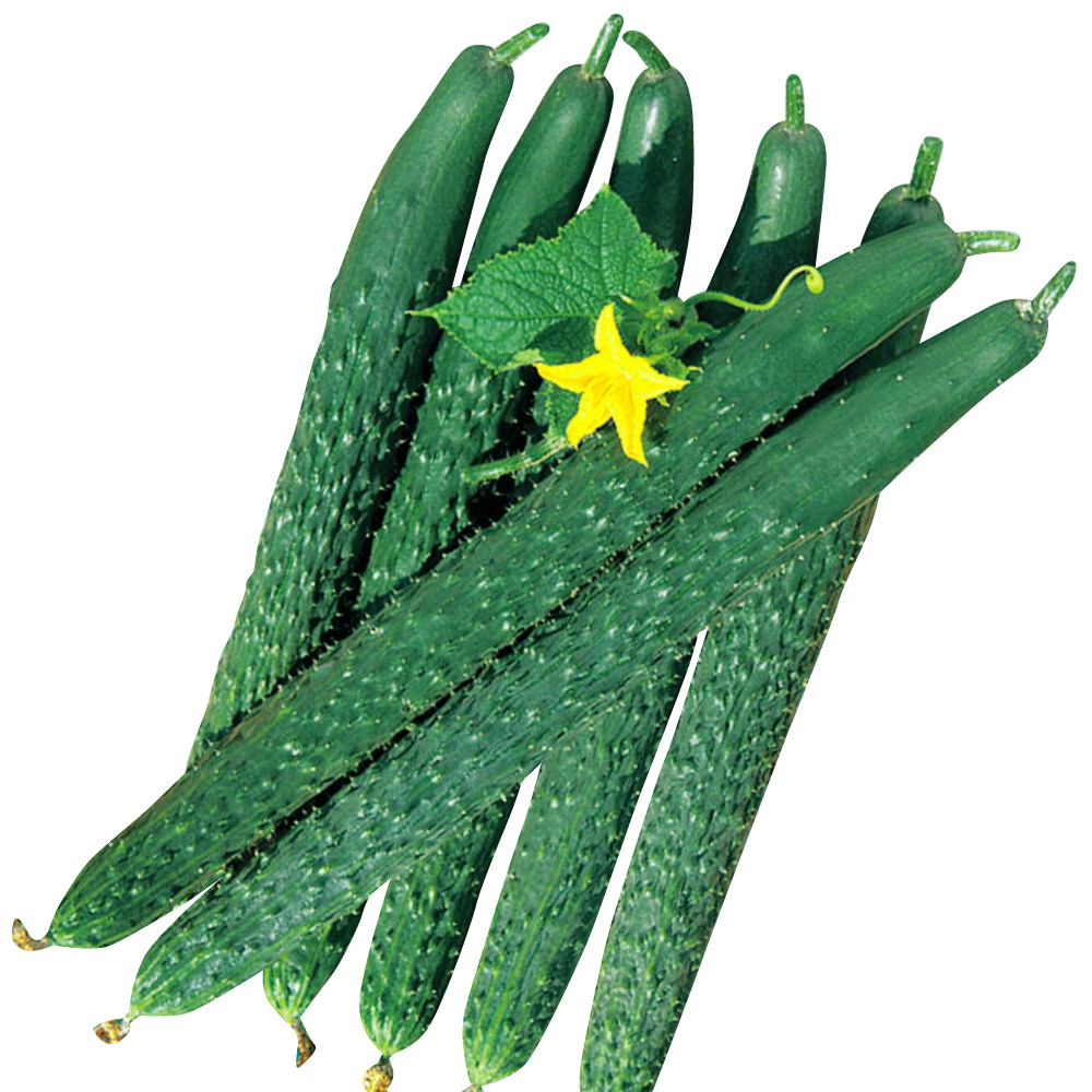MIBHY2AJBV1