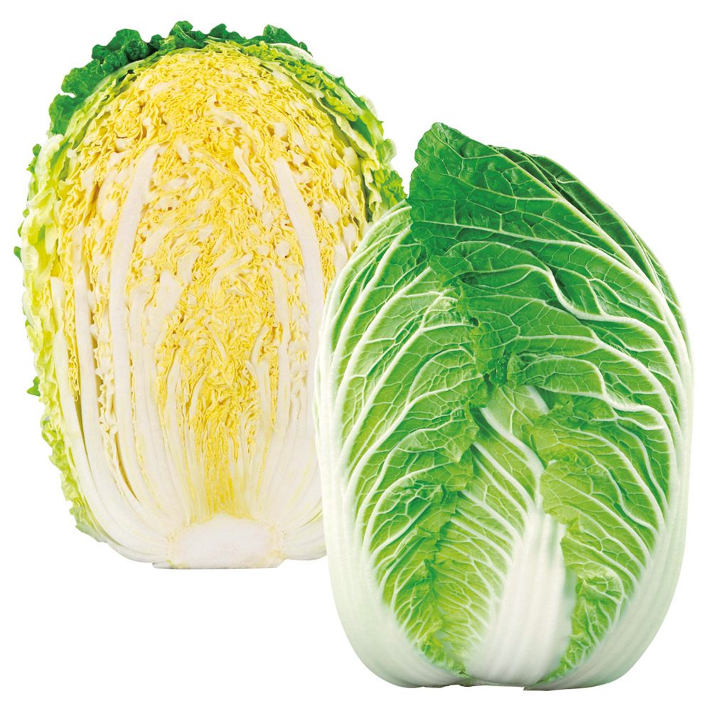 種 野菜たね ハクサイ F1初美月（はつみづき） 1袋（コート種子 100粒