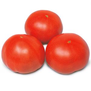 トマト 大玉トマト 種 野菜たね F1大寿 1袋（0.5ml） やさいたね 国華園 こっかえん