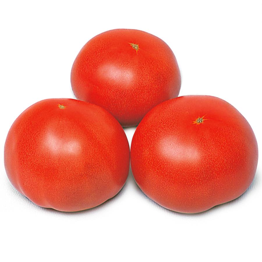 トマト 大玉トマト 種 野菜たね F1大寿 1袋（0.5ml） やさいたね 国華園 こっかえん｜kokkaen