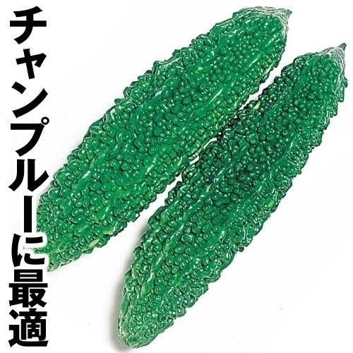 ゴーヤ 種 野菜たね 太苦瓜（れいし） 1袋（10ml） 苦瓜 ウリ やさい