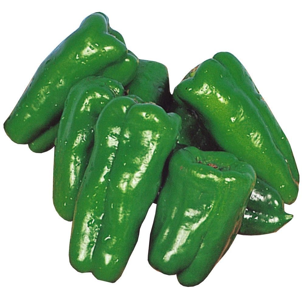 早期予約販売たね）種 野菜たね ピーマン F1スイートロング 1袋（20粒