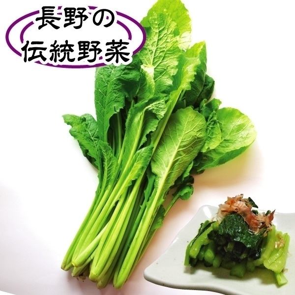 種 野菜たね 菜類 野沢菜 1袋（8ml） のざわな やさいたね タネ 国華園 こっかえん : p6c-217 : 花と緑 国華園 - 通販 -  Yahoo!ショッピング