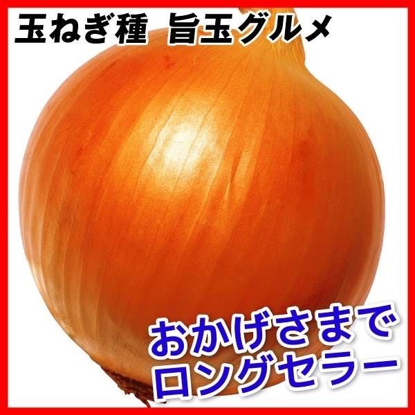 タマネギ 種 たね 旨玉グルメ 1袋(5ml) 玉葱 玉ねぎ 野菜たね YTC02