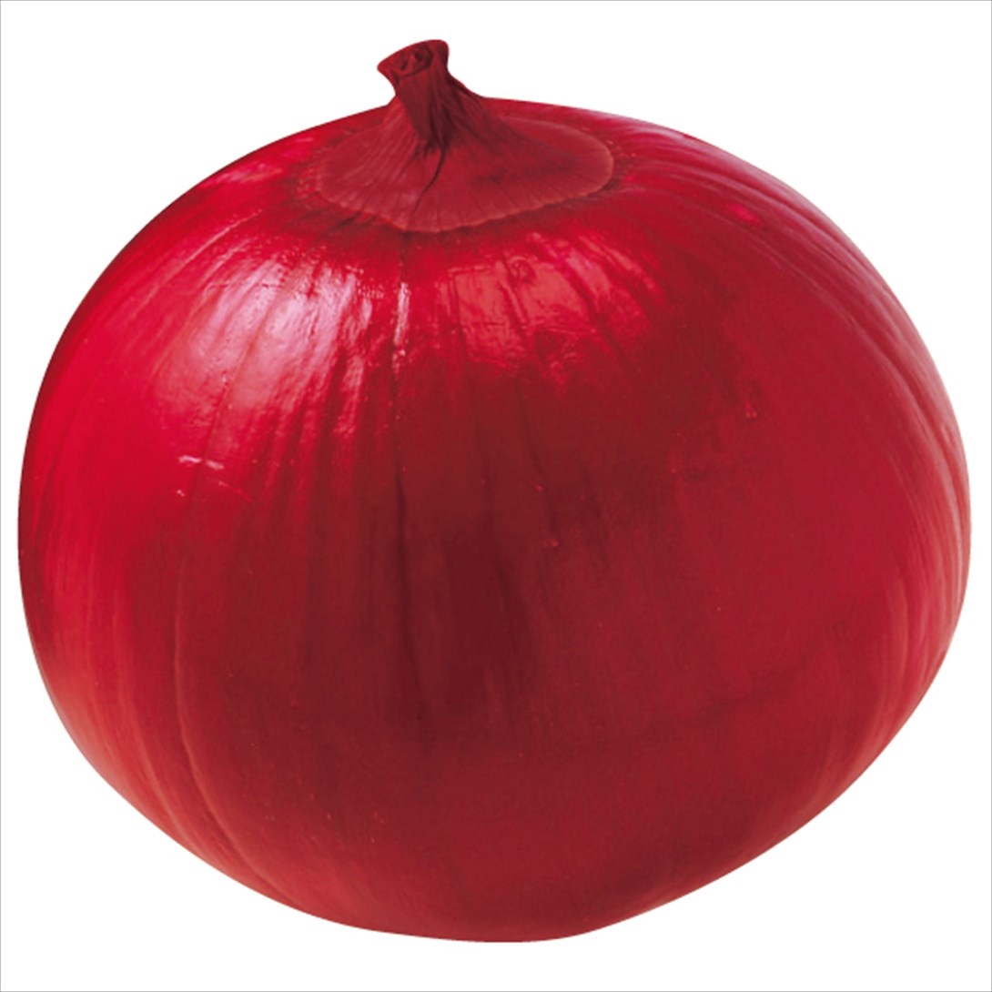 安心発送 玉ねぎ 種 タネ 野菜たね 千紅一号 1袋 玉葱 5ml タマネギ 葉菜 安心発送 玉ねぎ 種 タネ 野菜たね 千紅一号 1袋 玉葱 5ml タマネギ 葉菜