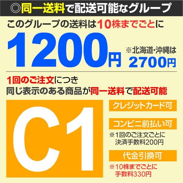 耐寒性バナナ苗 アイスクリームバナナ 3株 果樹苗 トロピカルフルーツ｜kokkaen｜06